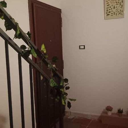 Apartmán Casa Selinunte Palermo Exteriér fotografie